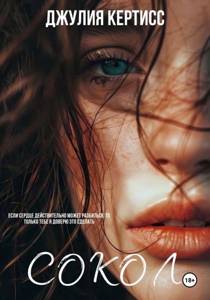 Обложка книги  «Сокол»