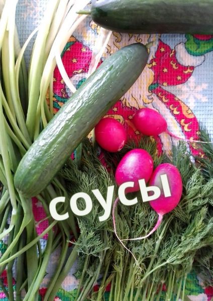Обложка книги  «Соусы»