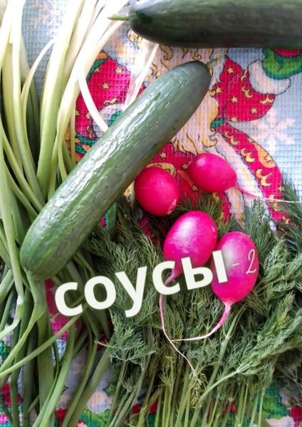 Обложка книги  «Соусы – 2»