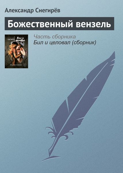 Обложка книги  «Божественный вензель»