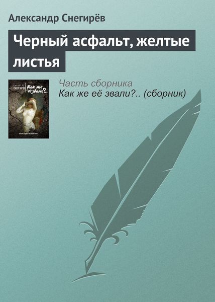 Обложка книги  «Черный асфальт, желтые листья»