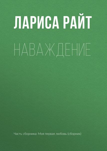 Обложка книги  «Наваждение»