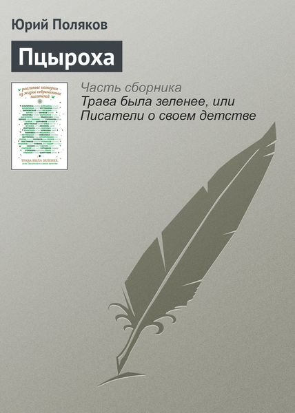 Обложка книги  «Пцыроха»