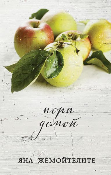 Обложка книги  «Пора домой»