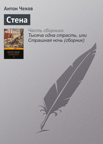 Обложка книги  «Стена»