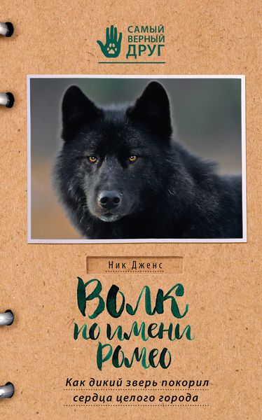 Обложка книги  «Волк по имени Ромео. Как дикий зверь покорил сердца целого города»