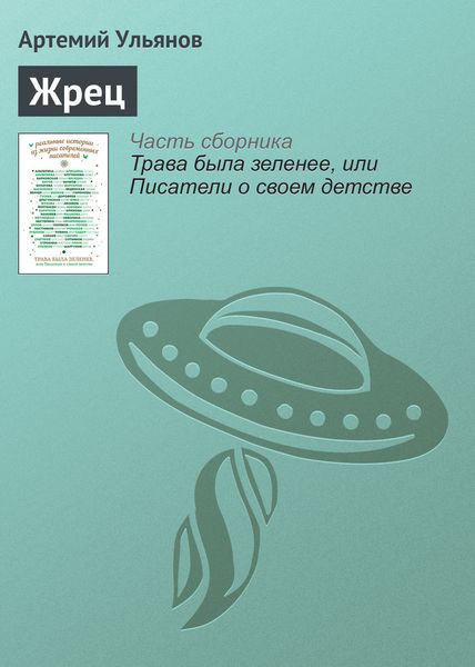 Обложка книги  «Жрец»