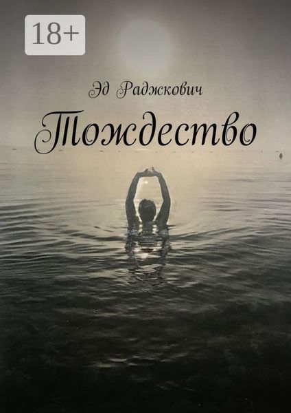 Обложка книги  «Тождество»