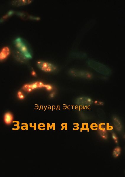 Обложка книги «Зачем я здесь»