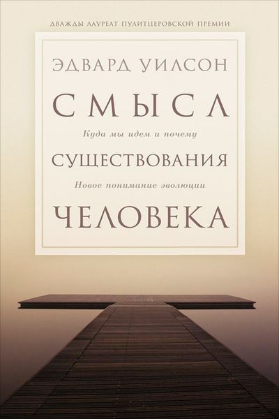 Обложка книги  «Смысл существования человека»
