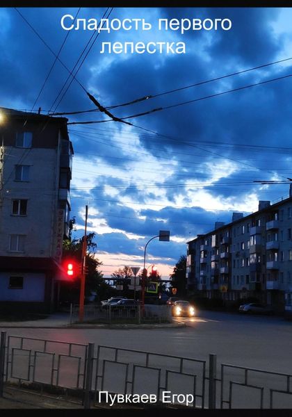 Обложка книги  «Сладость первого лепестка»