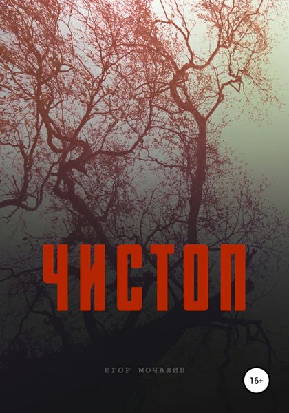 Обложка книги «Чистоп»