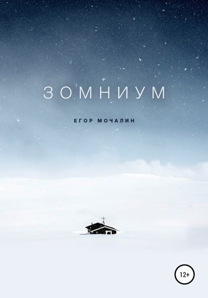 Обложка книги «Зомниум»