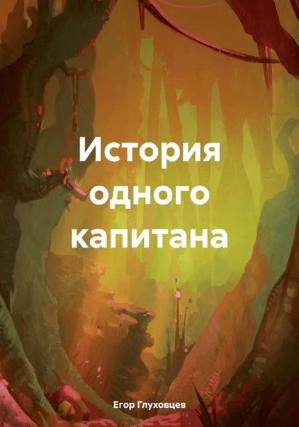 Обложка книги  «История одного капитана»