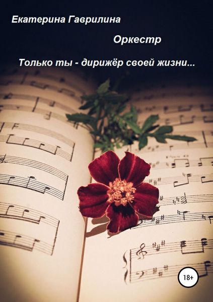 Обложка книги «Оркестр»