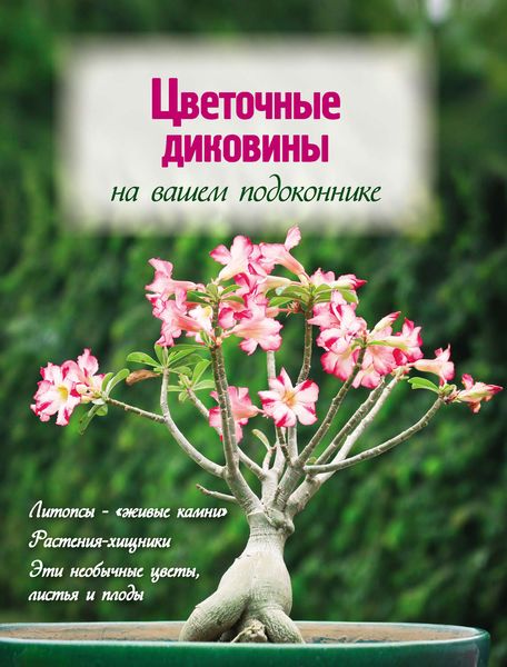 Обложка книги  «Цветочные диковины на вашем подоконнике»