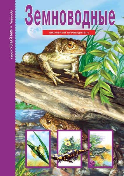 Обложка книги  «Земноводные»