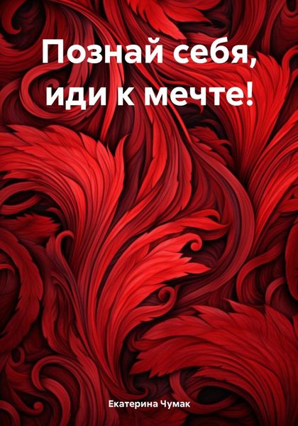 Обложка книги «Познай себя, иди к мечте!»