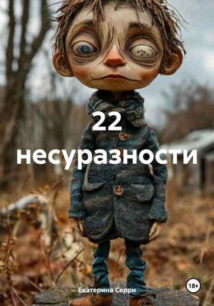 Обложка книги  «22 несуразности»