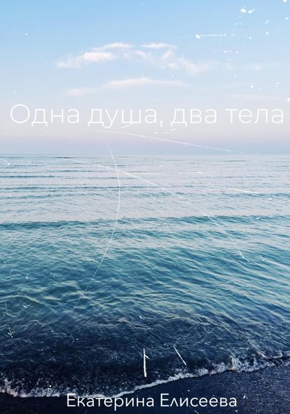 Обложка книги  «Одна душа, два тела»