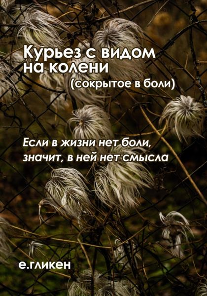 Обложка книги  «Курьез с видом на колени (сокрытое в боли)»