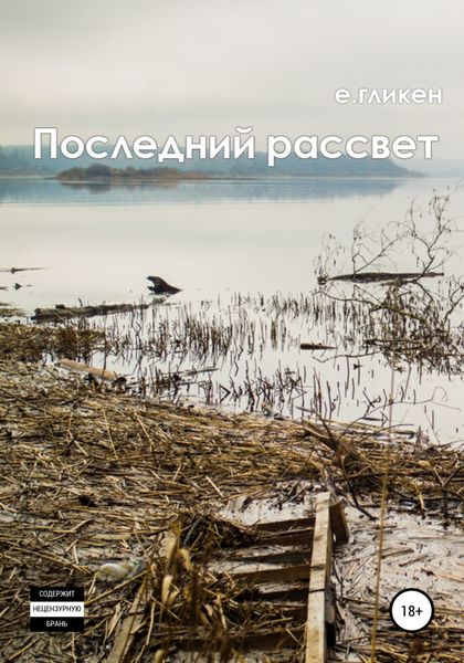 Обложка книги  «Последний рассвет»