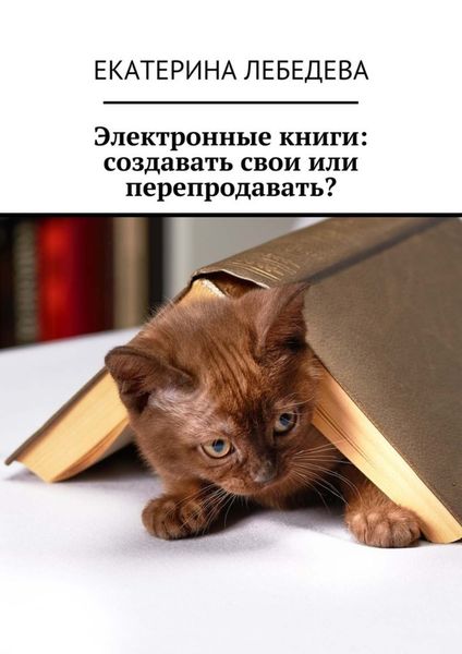 Обложка книги  «Электронные книги: создавать свои или перепродавать?»