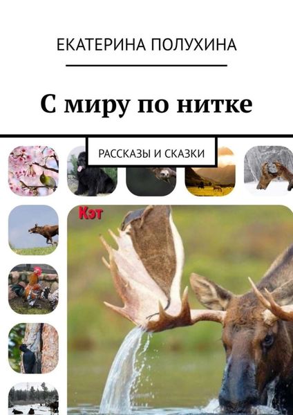 Обложка книги  «С миру по нитке. Рассказы и сказки»