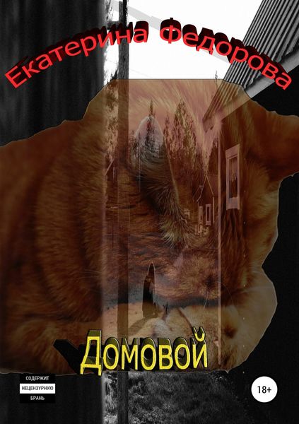Обложка книги  «Домовой»