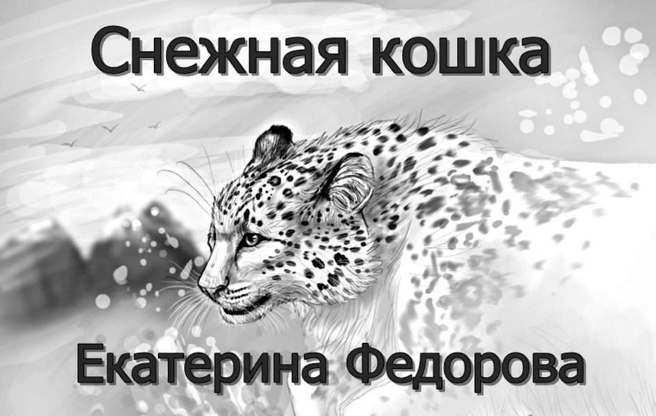 Обложка книги  «Снежная кошка»