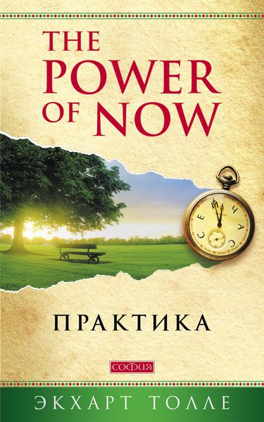 Обложка книги  «The Power of Now. Практика»