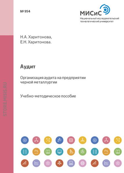 Обложка книги  «Аудит. Организация аудита на предприятии черной металлургии»