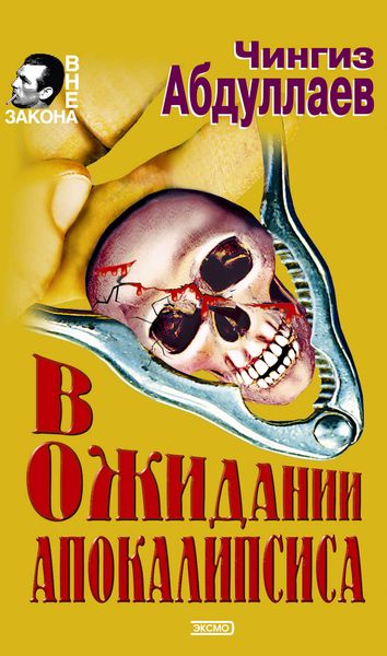Обложка книги  «В ожидании апокалипсиса»