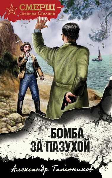 Обложка книги  «Бомба за пазухой»
