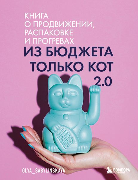 Обложка книги  «Из бюджета только кот 2.0»