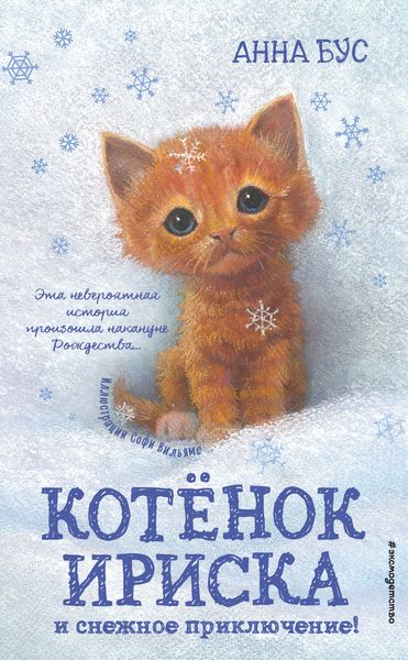 Обложка книги  «Котёнок Ириска и снежное приключение!»