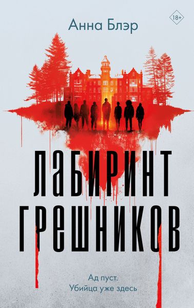Обложка книги  «Лабиринт грешников»