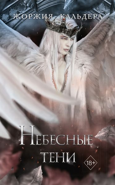 Обложка книги  «Небесные тени»