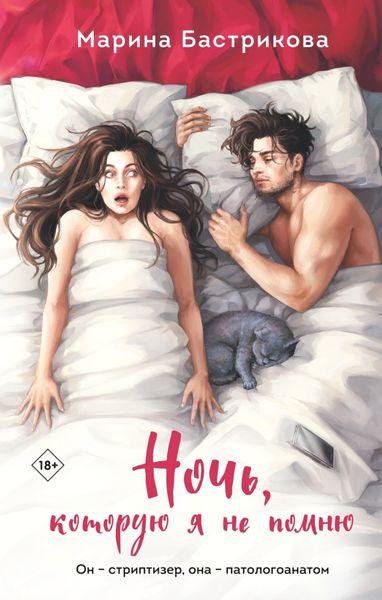 Обложка книги  «Ночь, которую я не помню»