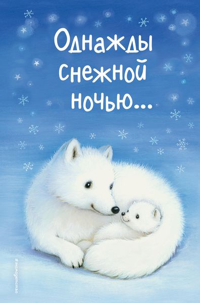 Обложка книги  «Однажды снежной ночью…»