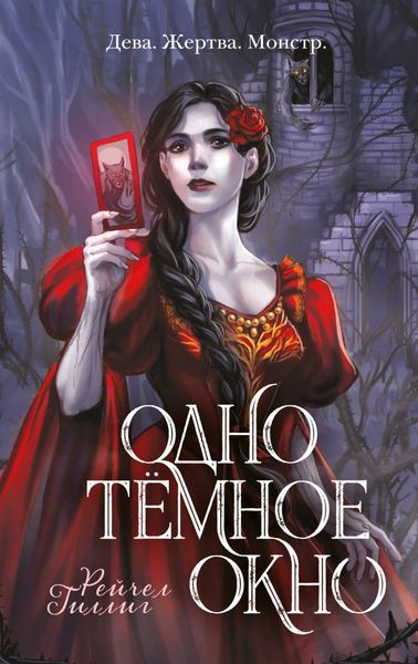 Обложка книги «Одно темное окно»