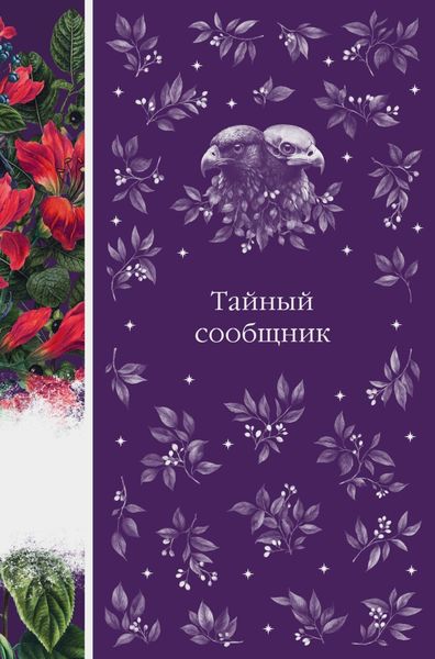 Обложка книги  «Тайный сообщник»