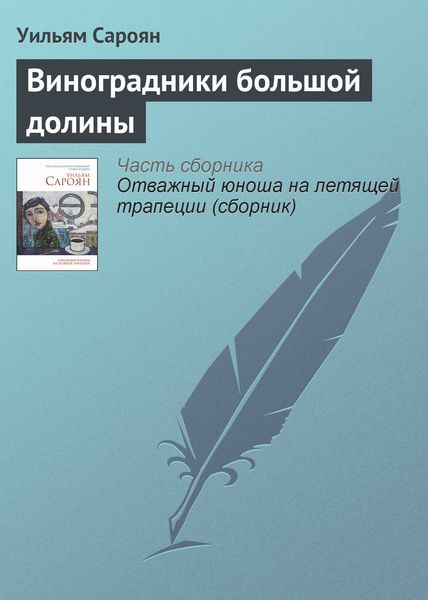 Обложка книги  «Виноградники большой долины»