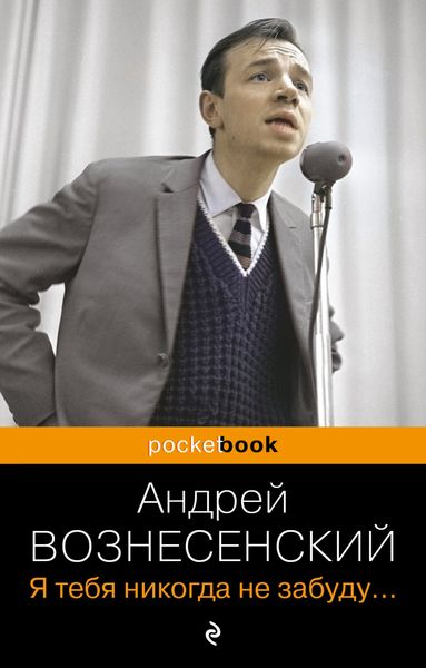 Обложка книги  «Я тебя никогда не забуду…»