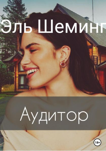 Обложка книги  «Аудитор»