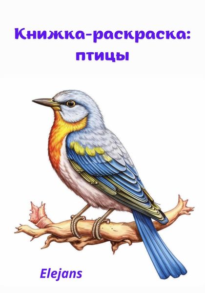 Обложка книги  «Книжка-раскраска: птицы»
