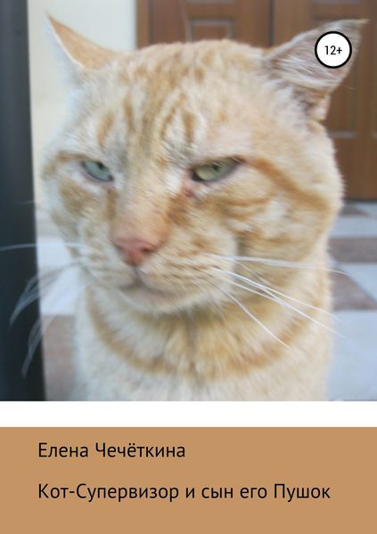 Обложка книги  «Кот-Супервизор и сын его Пушок»