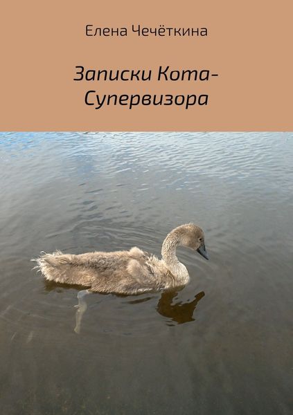 Обложка книги  «Записки Кота-Супервизора»