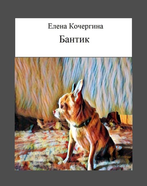 Обложка книги «Бантик»