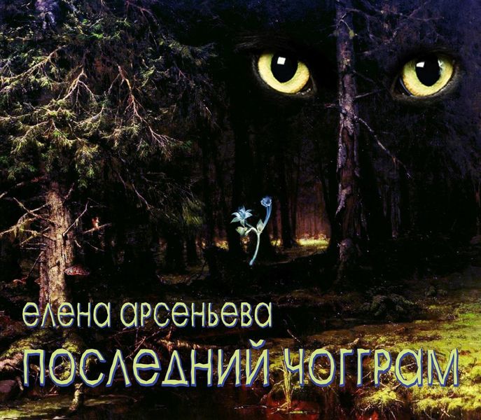 Обложка книги  «Последний чогграм»